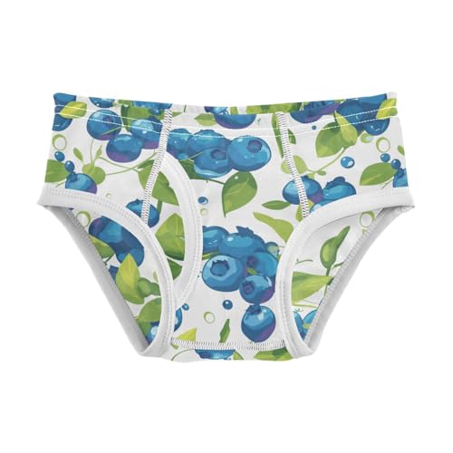 Wusikd Blueberries Fruity Boys' Underwear Cotton Boys Briefs Soft Toddler Underwear 2T