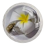 ✿Le motif unique combiné à la taille parfaite vous apportera la plus grande surprise. Nos boutons pour tiroirs de commode utilisent les éléments les plus uniques, combinant la texture des serpents, des chats, de la neige, des hiboux et d'autres motifs, vous pouvez choisir le style que vous aimez. Le diamètre est d'environ 1,18 pouces (30 mm), répond à vos besoins.