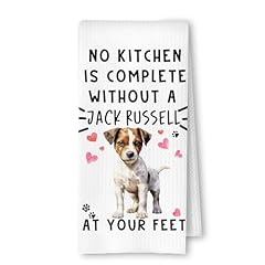 Jack Russell at Your Feet