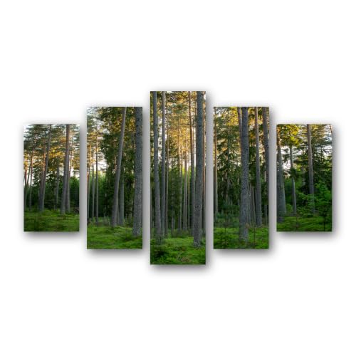 Toile murale Forêt de Grands Pins lot de 5 tableaux déco nature grand format