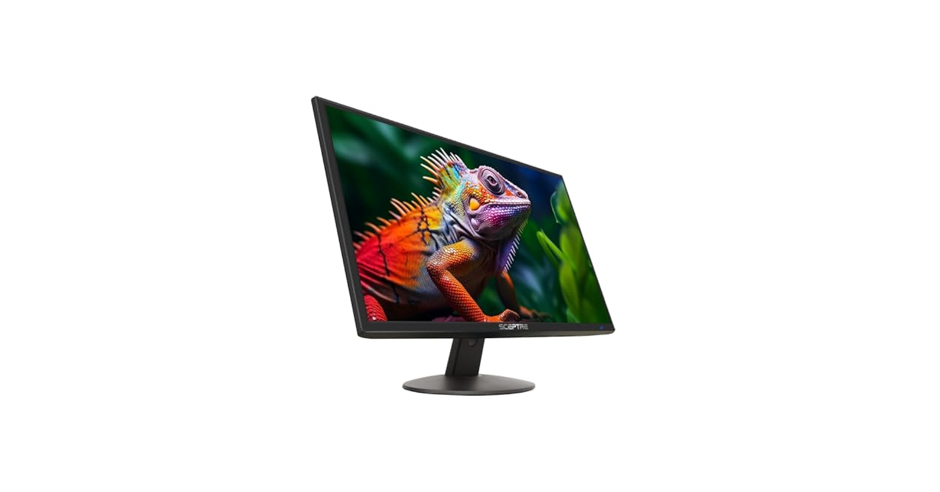 Amazon.com: Sceptre 24-inch Professional Thin 1080p LED