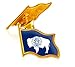 6Pack-US WYO Wyoming State Lapel Pins Waving Flag America Patriotic Pins Bulk Metal Souvenir Series Gifts-1”