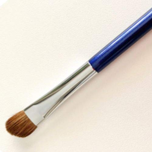 HOUKODOU N-S1 Color Brush Makeup Brush from Japan Brush Maker