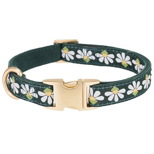 YUDOTE Hundehalsband aus weichem Cord mit Jacquard-Band, Hochwertig Gemustert Blumenmuster für Kleine Hunde den täglichen Gebrauch, Grün
