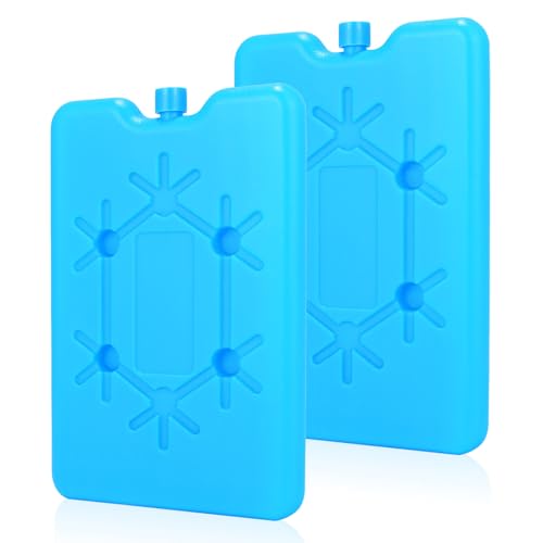 DIELOVEHUA 2 Stück 200ml Kühlakkus für Kühltasche, Kühlakkus für...