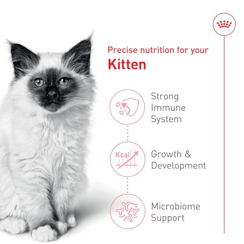Image of ROYAL CANIN Dry Cat Food up to 12 Months, 3 lbs