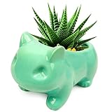 Pinsjar Cartoon Ceramic Flowerpot Glazed Pottery Succulent Pot Cute Planter Ceramic Art Vase Animal Shaped Green with Hole