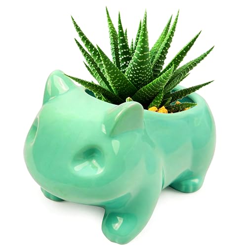 Pinsjar Cartoon Ceramic Flowerpot Glazed Pottery Succulent Pot Cute Planter Ceramic Art Vase Animal Shaped Green with Hole