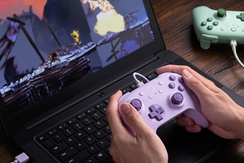 8Bitdo Ultimate 2C Wired Controller för PC & Android - Lila