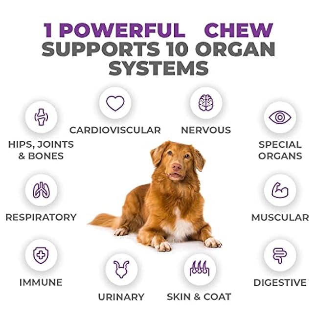 Mighty Petz MAX Dog Multivitamin - Senior & Adult Dog Vitamins 10 in 1 Complete Support for Joints, Immunity, Mobility, Gut, Energy, Skin Health, Pet Multivitamin Daily Chewable Supplement-OmHNQ019