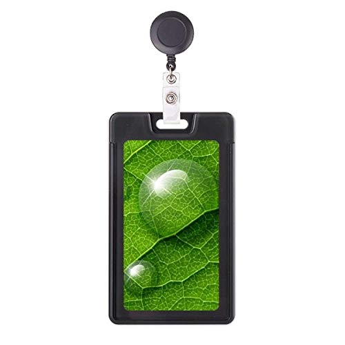 Porte-badge rétractable plante verte, cadeau idéal pour collègue de bureau