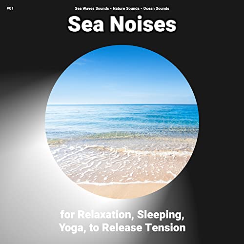  Ocean Sounds for Elevators
