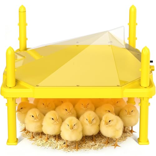 Plaque de couveuse pour poussins réglable pour éviter les pertes d'élevage