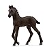 Produktbild SCHLEICH 13977 Friese Fohlen, ab 5 Jahren, Horse Club - Spielfigur, 3 x 8 x 9 cm