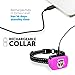 Small Dog, Rechargeable – Smallest Bark Collar for Small Dogs 5-15lbs - Most Humane Stop Barking Collar - Dog Training No Shock Anti Bark Collar - Safe Pet Bark Control Device