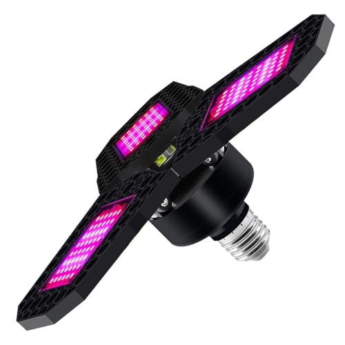 LED �A�����������v �t���X�y�N�g�� - �A�������p���������v�A�����A���������C�g�A�e�͐��̂��鐅�k�͔|���C�g�A���ʂȉ������ |�g�}�g�A�s�[�}���A�s�[�}���Ȃǂ̉��|�ɖ𗧂�����������ł��B