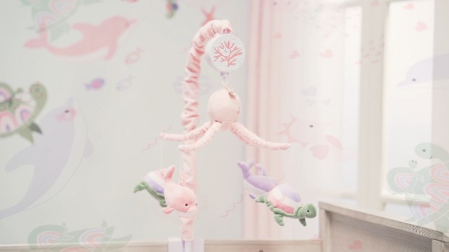 Amazon.com: Lambs & Ivy Sea Dreams 3-Piece Dolphin/Turtle Nautical