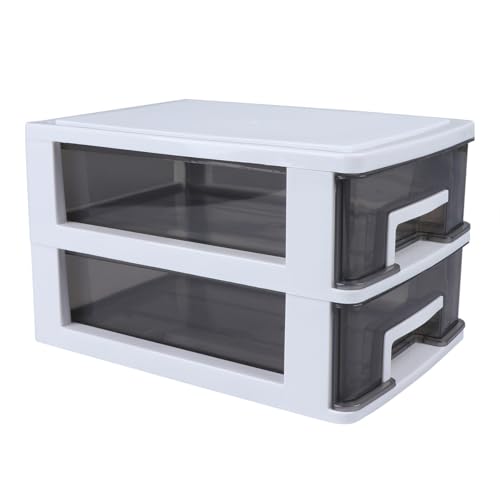 JOINPAYA Caja de Almacenamiento de Plástico Transparente 2 Cajones, Organizador de Escritorio Pequeño Multicapa, Gabinete Portátil en Tonos Claros y Negro para Oficina y Hogar