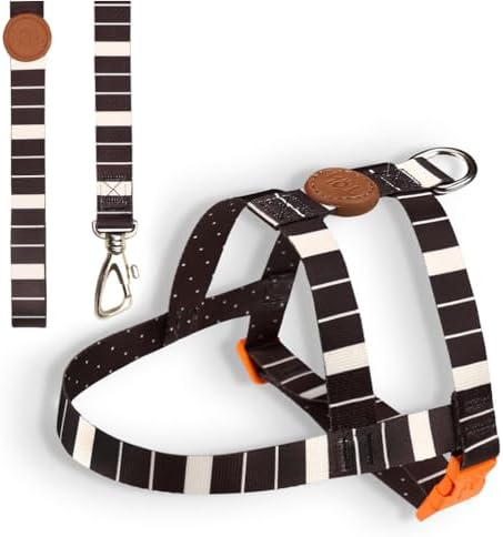 Peitoral ou Guia para Cachorro: Qual é Melhor 6 Toh Conjunto Peitoral Tradicional E Guia Eclipse G