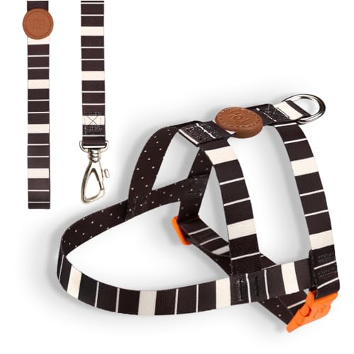 Toh Conjunto Peitoral Tradicional E Guia Eclipse M