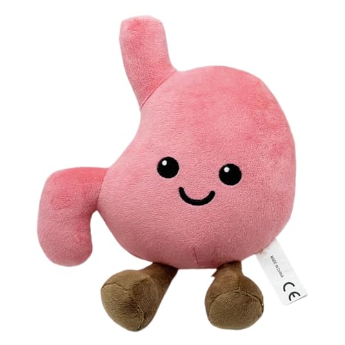 Juguete De Anatomía De Felpa , Juguete De Peluche Cómodo Para El Estómago, Muñeco De Peluche De Anatomía Para Niños, Modelo De Estómago De Dibujos Animados De Felpa, Muñeca Modelo De Anatomía De