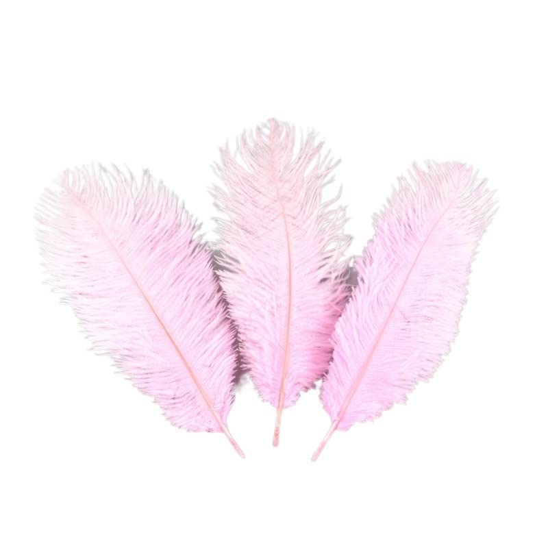 Plume d'autruche rose naturelle 25-30cm pour rehausser un artisanat DIY terne