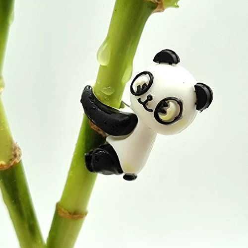 Vaso Canoa com Panda e 8 Hastes de Bambus da Sorte