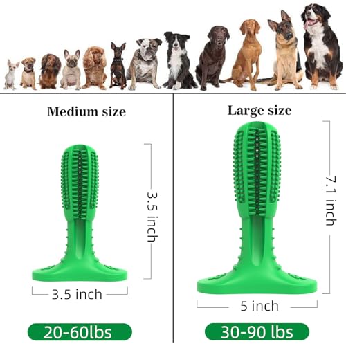 HETOO Dog Chew Toys, Dog Toothbrush Toys for Puppy Dental Care Teeth Cleaning, Natural Rubber Teeth Grinding Rod Gifts for Dogs - Image 4