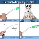 Coolzon LED Leuchthalsband Hundehalsband Aufladbar, Wasserdicht Halsband Hund 3 Modi, Leuchtband Hund Halsband Längenverstellbareres Super Helle Kalsband Katze und Hunde Klein Groß Mittel, Grün