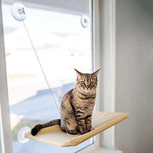 Caminha Sunny Seat Para Gatos De Janela com ventosas 1 espaço descanso com vista para rua