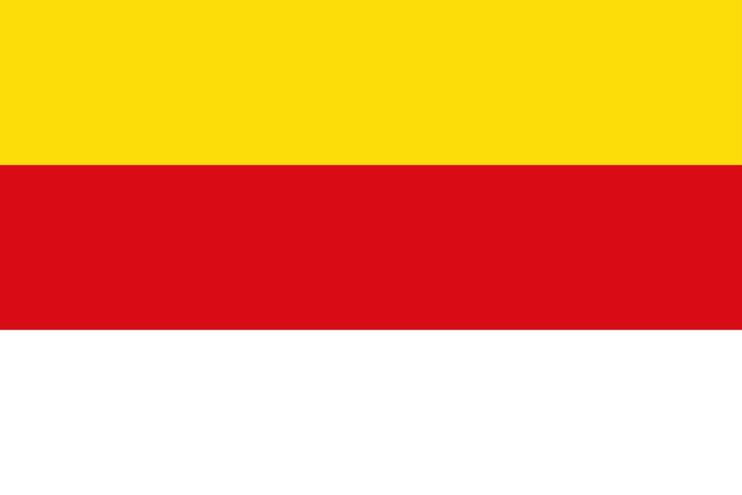 Nuth vlag 1946-1982 drapeau historique de la commune pour collectionneurs