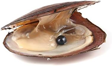 Miniatura 5 de 4 piezas de ostras de perlas cultivadas de agua dulce con perlas redondas en 4 colores (0.256-0.295 in) para hacer joyas o regalos de cumpleaños,