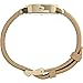 Timex Women's Easy Reader 30mm Watch – Gold-Tone Case Cream Dial with Tan & Blue Leather Strap