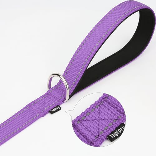 Taglory Hundeleine Kleine Hunde Leicht | Doppelseitig Reflektierend | Gepolsterter Griff | Bis zu 10 kg | 1.8m x 2cm | Lila