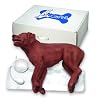 Simulaids - CasPeR The CPR Dog by Simulaids