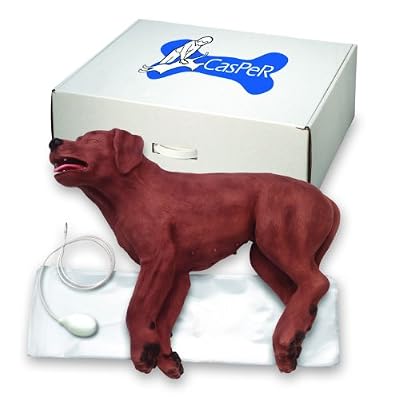 Simulaids - CasPeR The CPR Dog by Simulaids