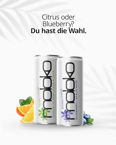 Moloko Mango + Kalamansi Refresh Your Mind, 24er Pack, EINWEG (24 x 250 ml)