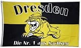 dynamo dresden fahnenklau 100% reißfestes Polyester Flagge Fanflagge Dresden Bulldogge - 90 x 150 cm