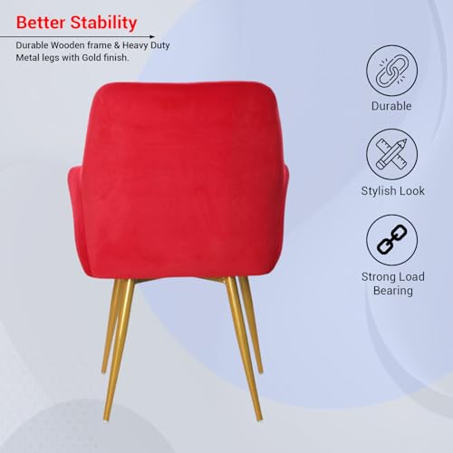 Image of Taboo Velvet Dining Chair Set of 2 | Upholstered Accent Arm Chairs | Soft Cushioned Seat with Backrest | Modern Velvet Fabric Chairs with Metal Legs | Living Room, Bedroom, Cafe & Restaurant | Red