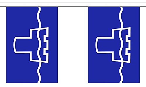 Flagtex Tyne and Wear Fabric Bunting – 3m with 10 Flags – Premium Indoor & Outdoor Decoration — image 1