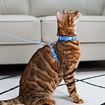 azuza Cat Harness and Leash Set for Safe Walking and Travel, Escape Proof Cat Harness, Lightweight Soft and Comfortable, Adjustable Kitten Harness for Small Medium Large Cats, Blue Plaid - Image 2