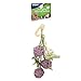 Ware Pet Products Hanging Festive Bunch Chew Toy for Small Animals