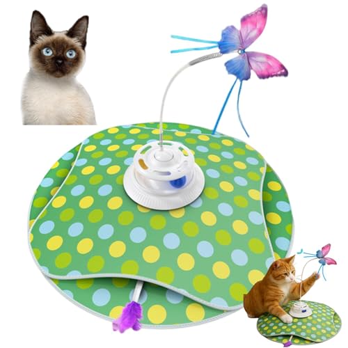 Lifetips gC{u Toybob  L炵  lV [d 3[h Ht mߋ ԊOm p É݌v Ή ԈS XgX {\h ^s S݌v v lC USBd ^C}[