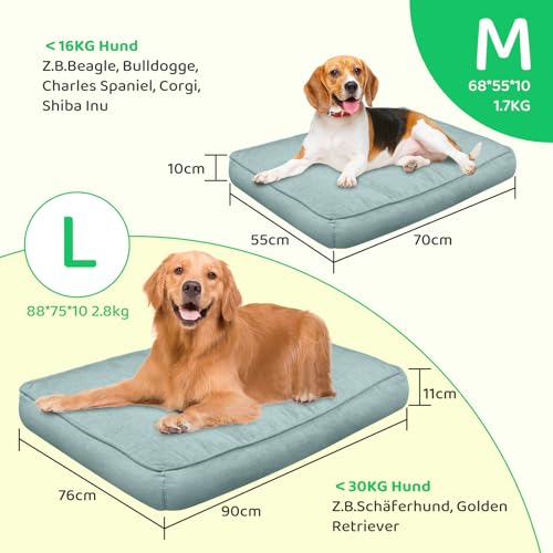 EvcgoX Hundebett, Orthopädisches Hundebett Grosse Hunde Mittelgroße Hunde, Abnehmbare Waschbare Hundekissen Hundematte 70x55 cm, Hundematratze mit rutschfestem Boden, Grün M