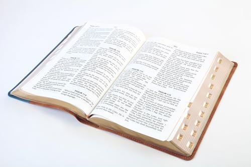 Image of The Barbour Simplified Kjv--Large Print [Rust & Stone Cross]