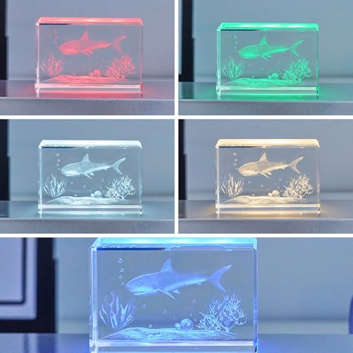 image for EUSTUMA LED Light Base Rectangle Display Stand In A Variety of Colors,