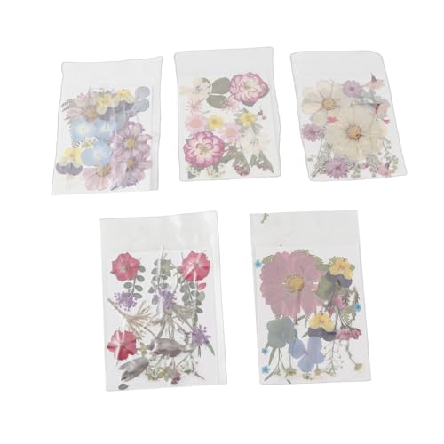 100 flores prensadas secas para manualidades variadas miniatura 1