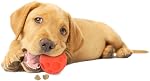 Omega Paw Balle à Friandises Tricky, Petite, Jouet Distribuant des Friandises pour Chiens, Orange
