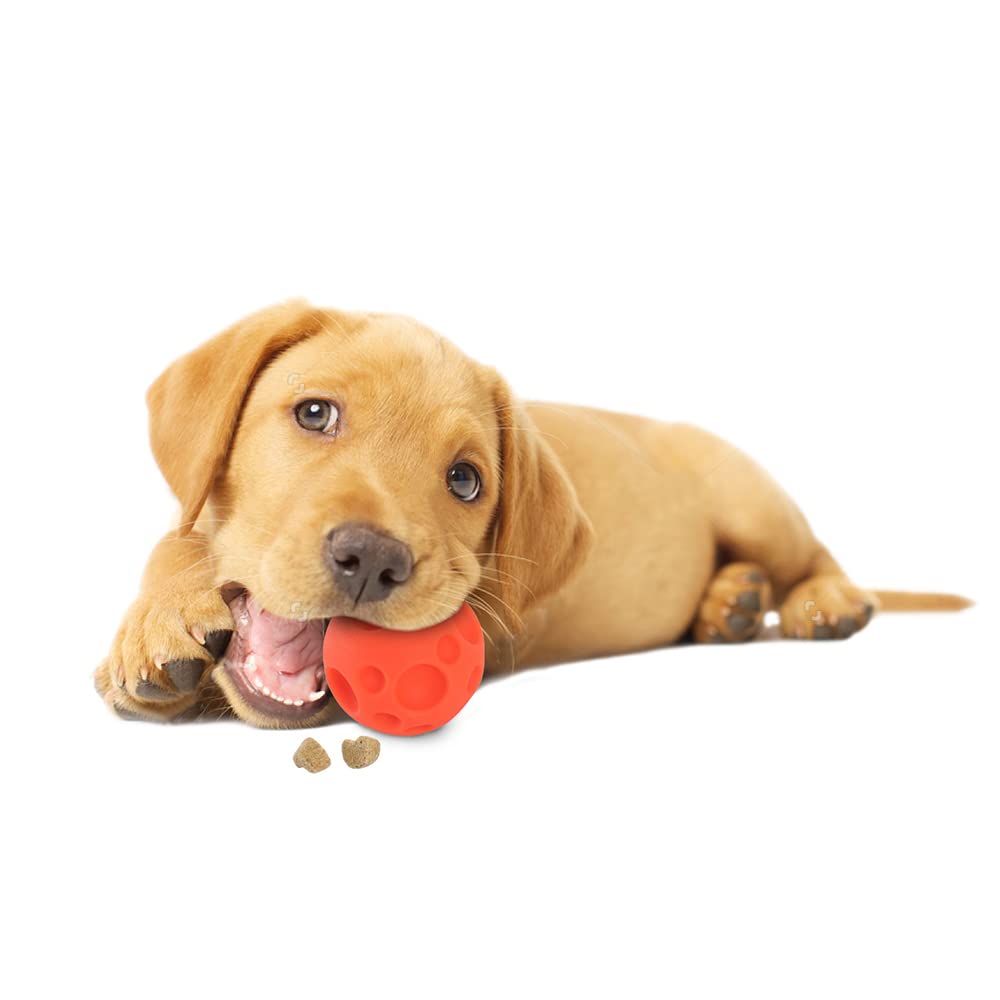 Omega Paw Tricky Treat Ball, klein