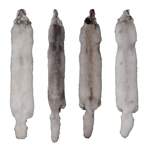 Tanned Blue Fox Hide Fur Pelt